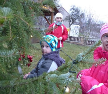 Rozsvícení vánočního stromečku 28.11.2015